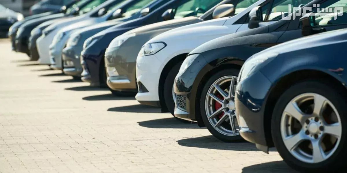 ما هو دعاء ركوب السيارة؟ تعرف على الفضل والصيغة الصحيحة