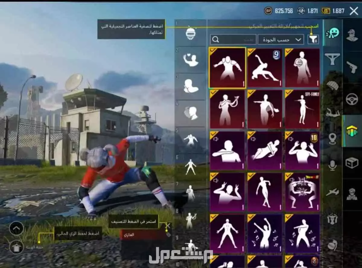 للبيع ببجي في حائل بسعر 1500 ريال سعودي