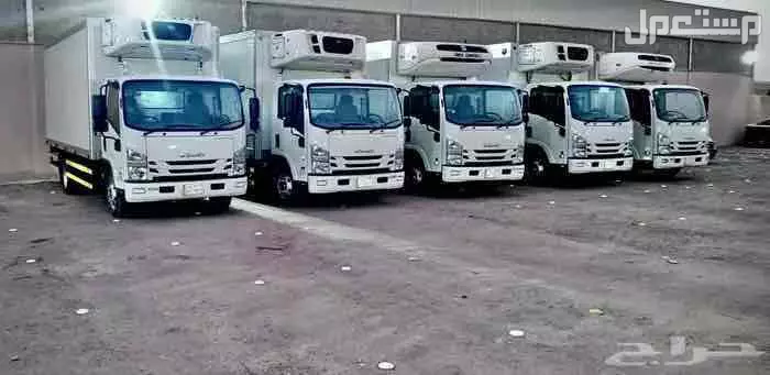 دينا أيسوزو تجميد تبريد جاف مشاوير