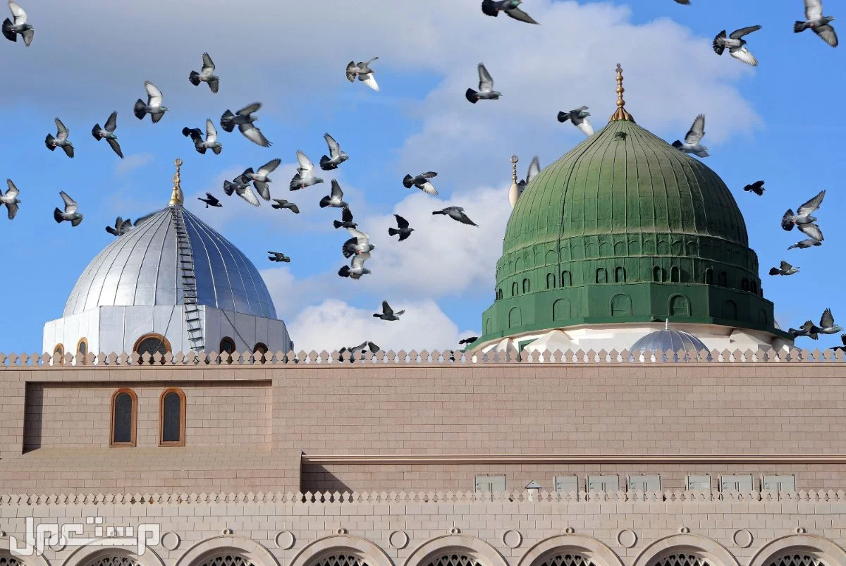 تعليمات الصلاة في الروضة الشريفة 1447 زيارة المسجد النبوي للنساء