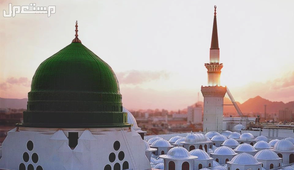 تعليمات الصلاة في الروضة الشريفة 1447 دعاء دخول الروضة الشريفة ابن باز