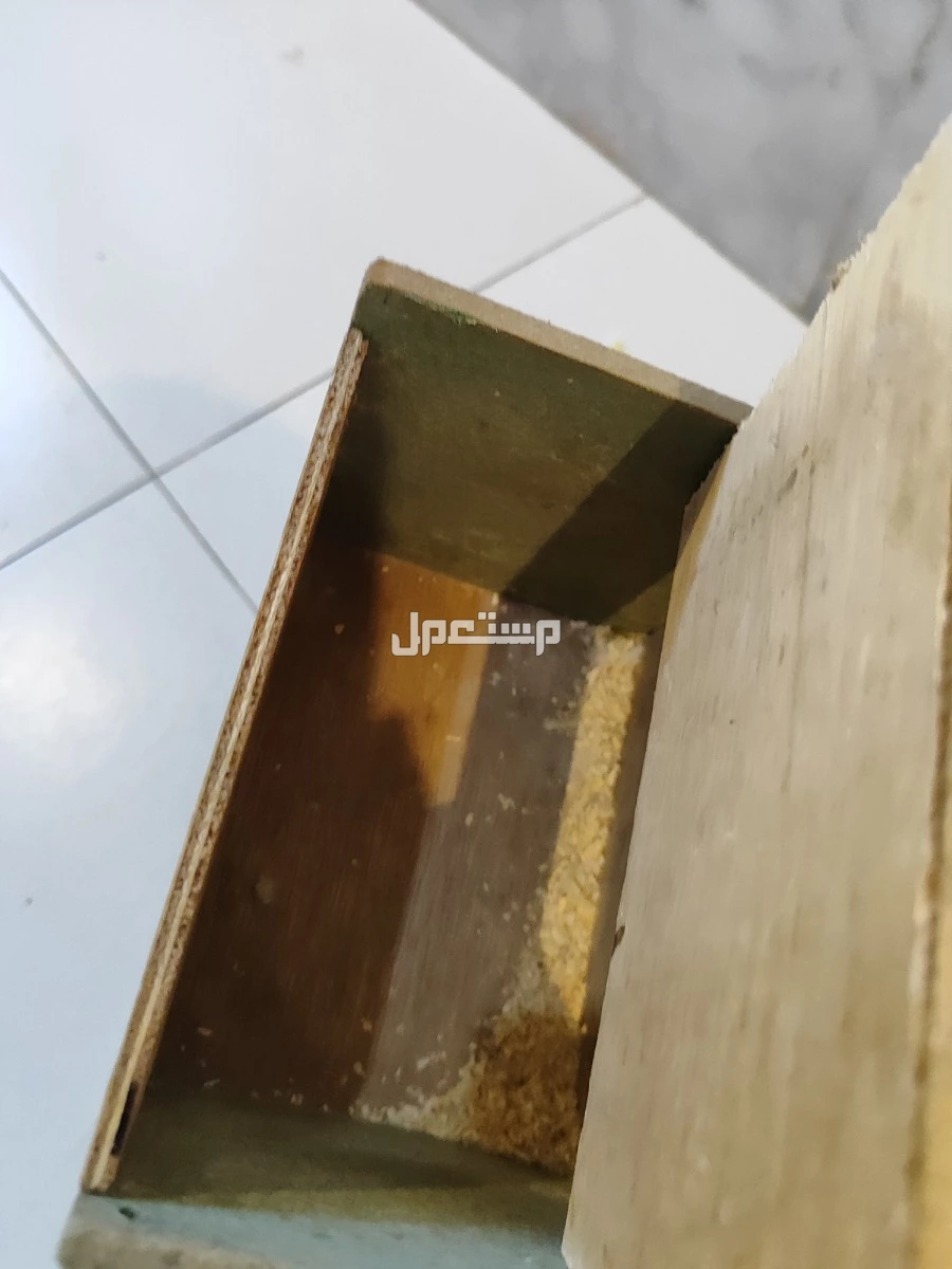 زوج بادجي  في جدة بسعر 150 ريال سعودي