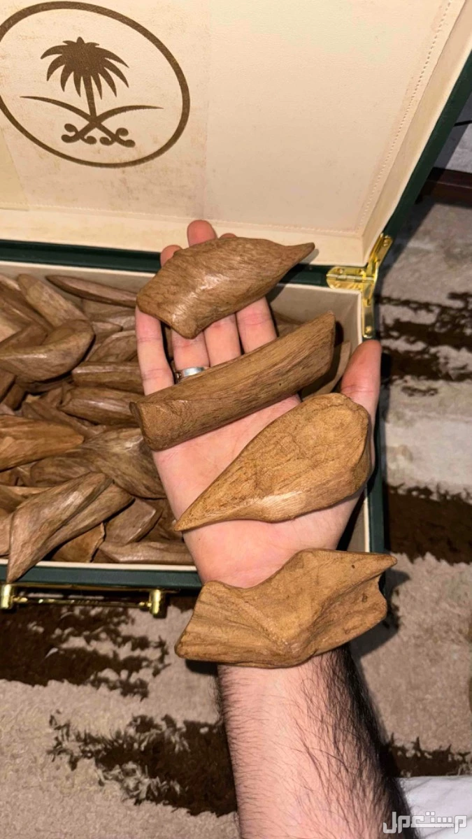 عود مروكي طبيعي  في الرياض سعر 0