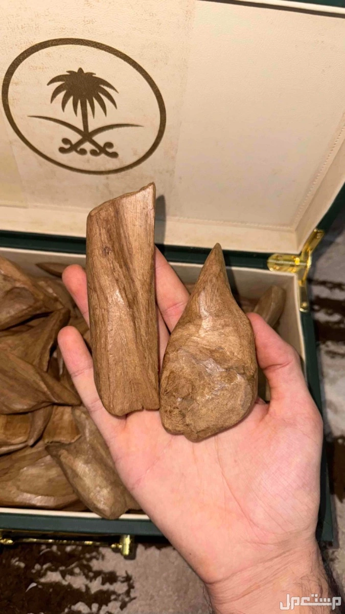 عود مروكي طبيعي  في الرياض سعر 0