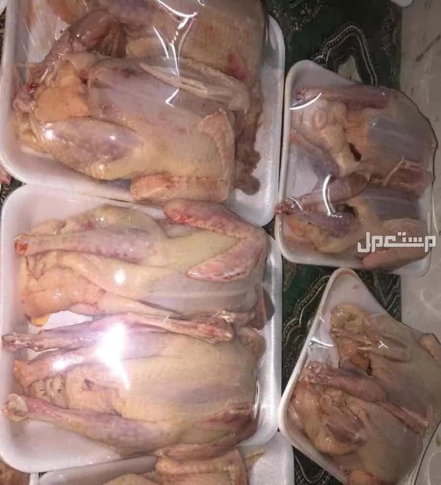 حمام فرنسي جامبو في مكة المكرمة