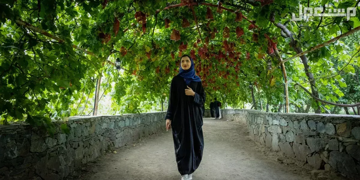 اماكن حلوه في أبها للعوائل.. دليلك لأفضل الأماكن اماكن حلوه في أبها للعوائل