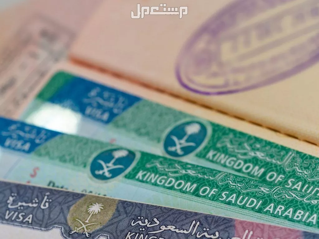 الدول المسموح لها بالتأشيرة السياحية السعودية​ 2025..هل بلدك من ضمنها؟ الدول المسموح لها بالتأشيرة السياحية السعودية​ 2025