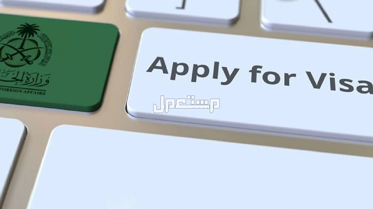 الدول المسموح لها بالتأشيرة السياحية السعودية​ 2025..هل بلدك من ضمنها؟ الفيزا الإلكترونية السعودية