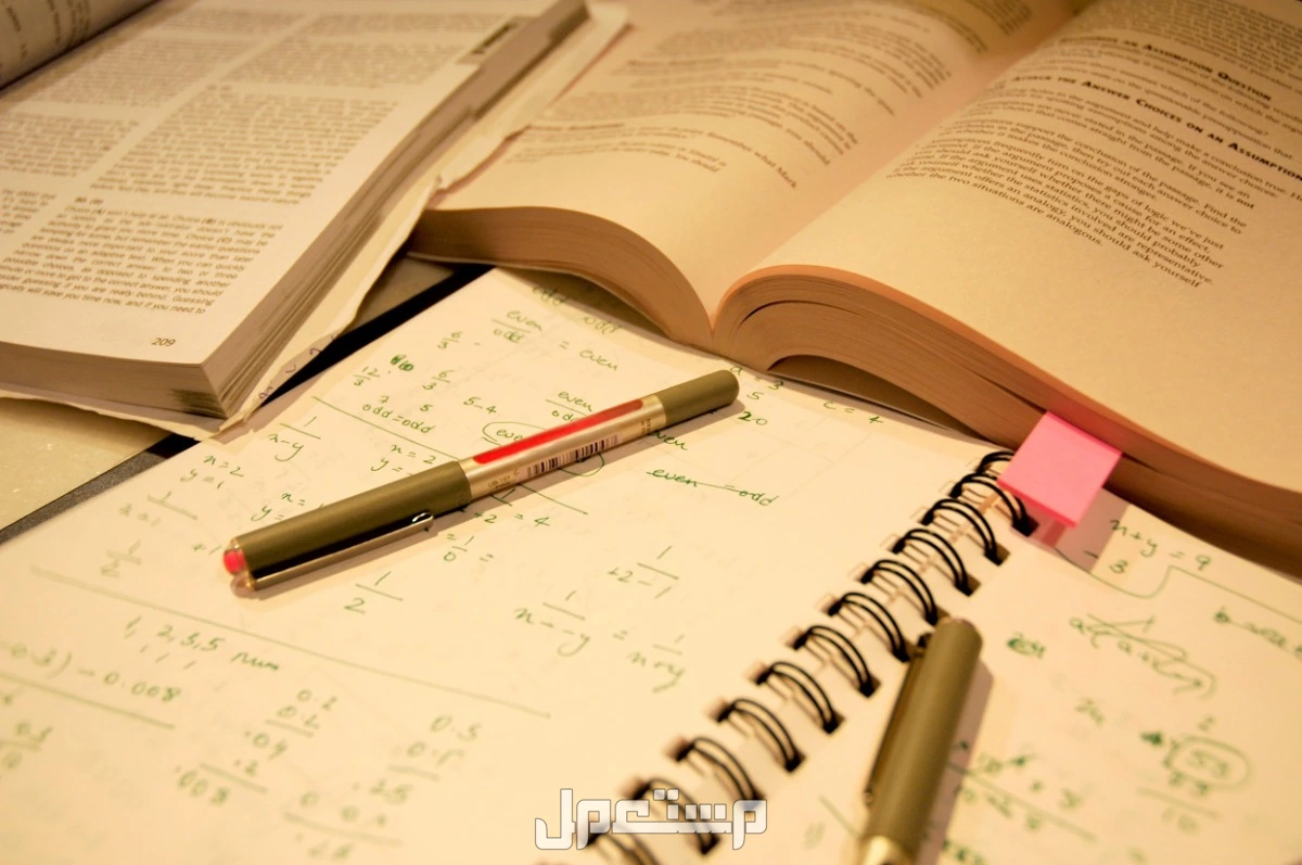 متى عودة المدارس 1447؟.. التاريخ الرسمي وجدول العودة