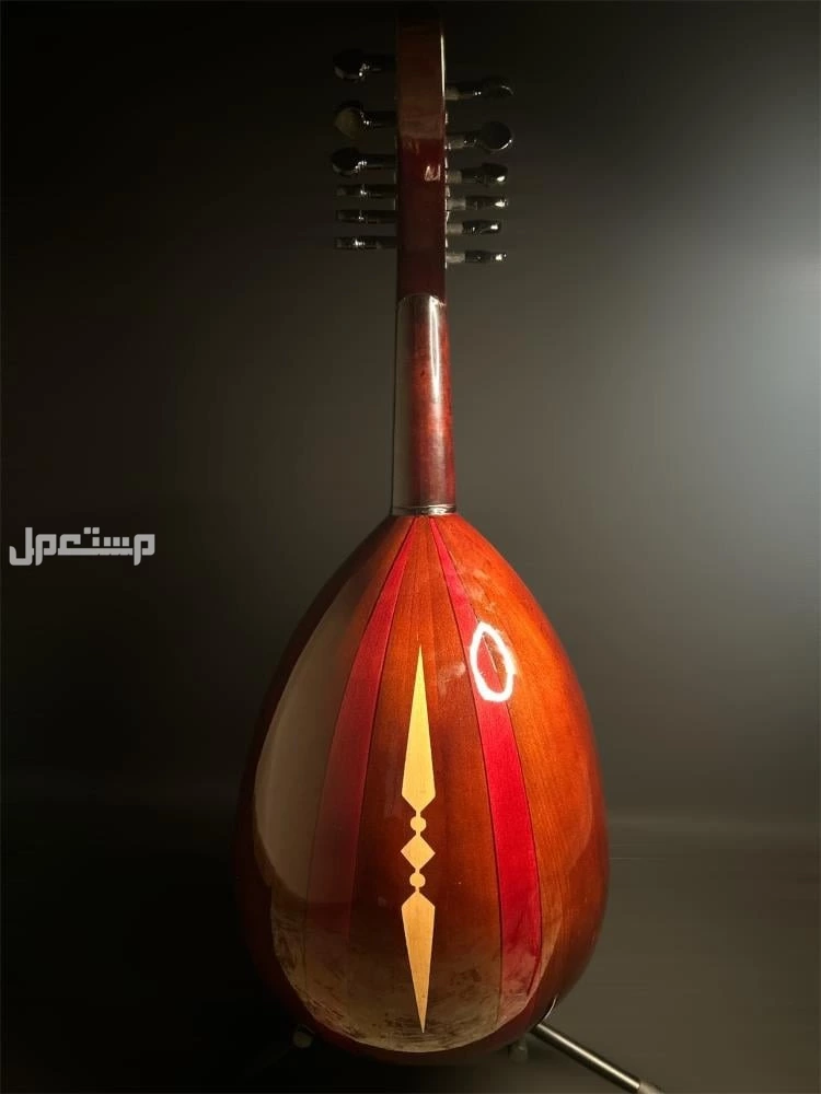 عود موسيقي تعليمي مناسب للمبتدئين جديد للبيع