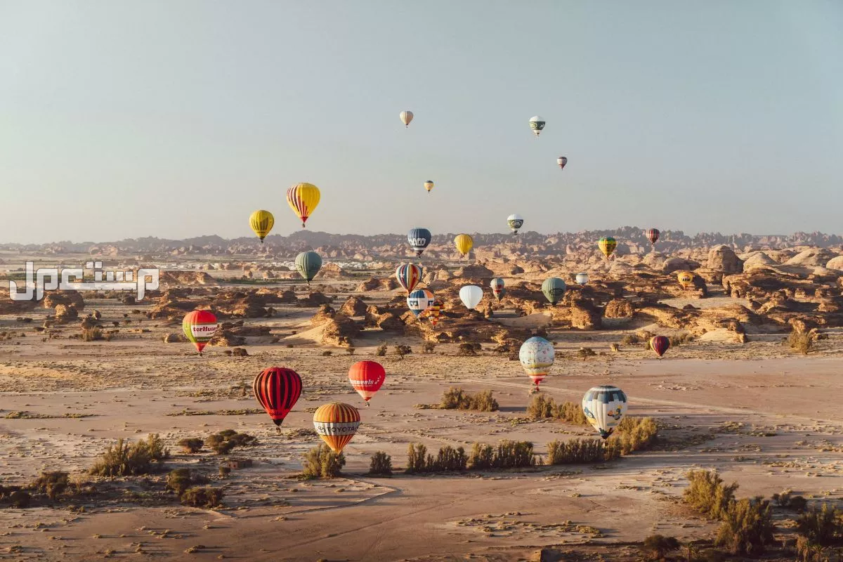 مواعيد حفلات الصيف في السعودية 2025 وأسعار شراء التذاكر فعاليات مهرجان الصيف تبوك 2025