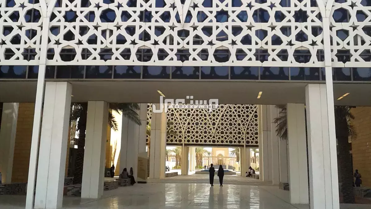 ما هي أفضل الجامعات في الوطن العربي؟.. دليل شامل أفضل جامعات في الدول العربية 2025