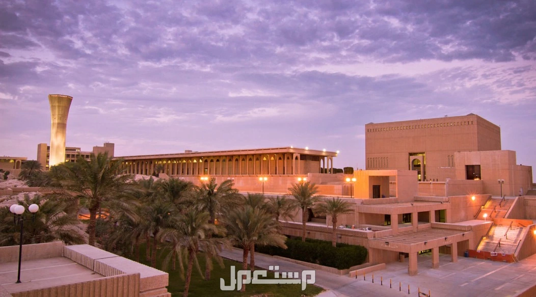 ما هي أفضل الجامعات في الوطن العربي؟.. دليل شامل أفضل الجامعات في الدول العربية عالميًا 2025