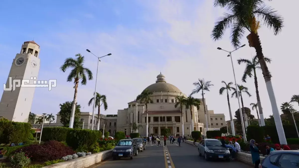 ما هي أفضل الجامعات في الوطن العربي؟.. دليل شامل أفضل جامعات عربية في العالم 2025