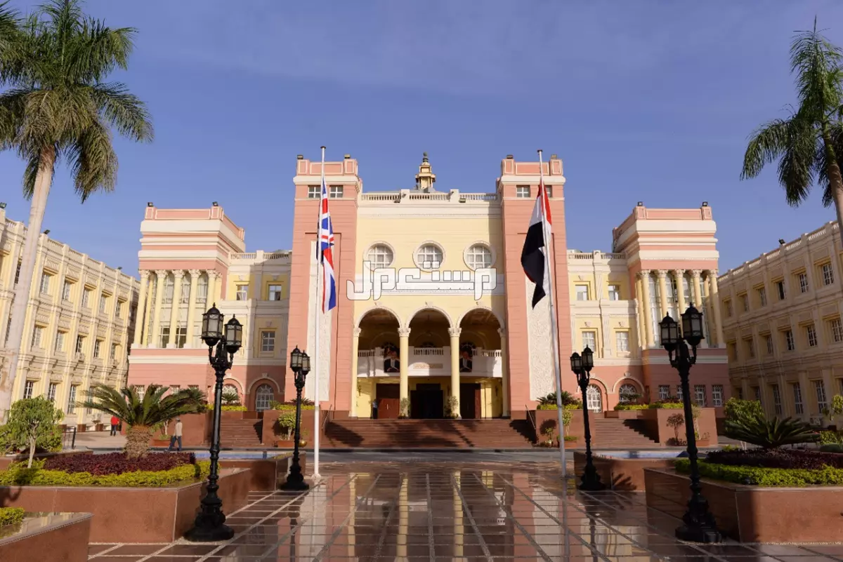ما هي أفضل الجامعات في الوطن العربي؟.. دليل شامل تصنيف الجامعات العربية عالميًا في 2025