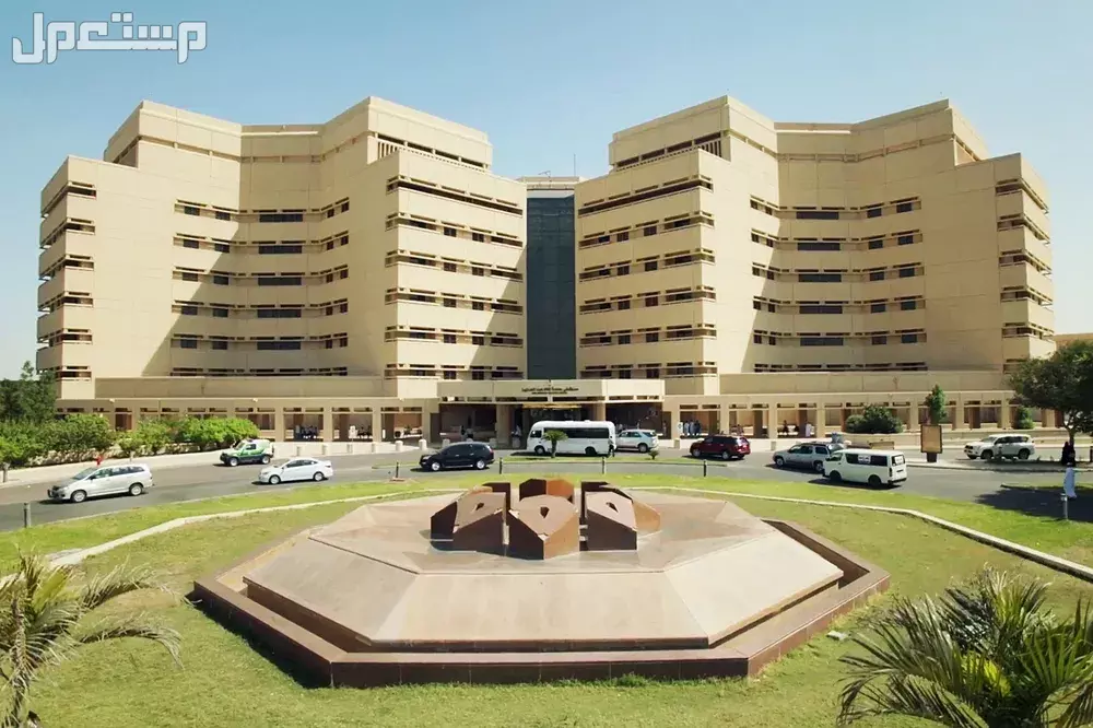 ما هي أفضل الجامعات في الوطن العربي؟.. دليل شامل أبرز الجامعات العربية المصنفة في QS لعام 2025