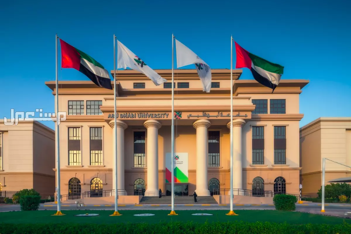 ما هي أفضل الجامعات في الوطن العربي؟.. دليل شامل ترتيب الجامعات العربية الأفضل في العالم