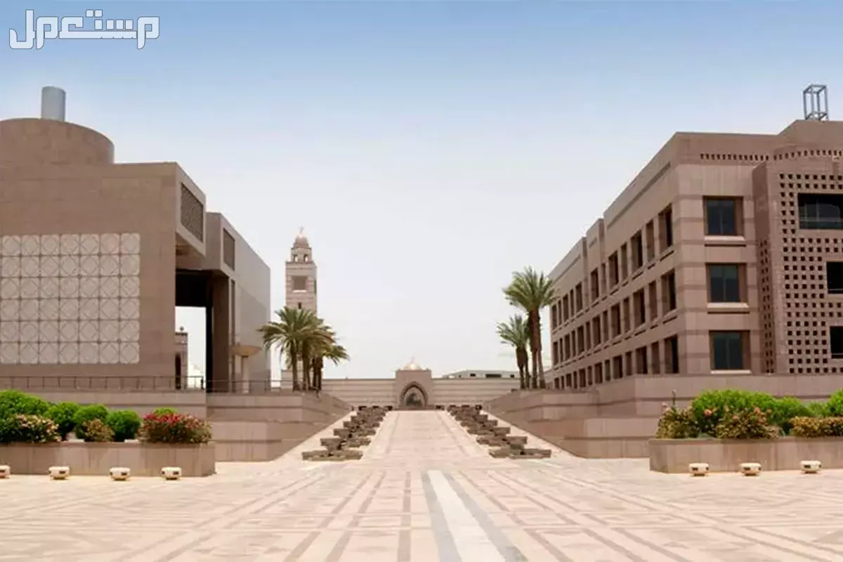 ما هي أفضل الجامعات في الوطن العربي؟.. دليل شامل أبرز الجامعات العربية المعتمدة 2025