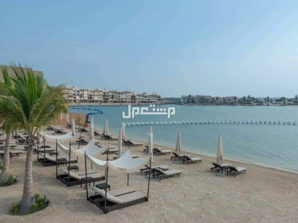 اكتشف أجمل 10 شواطئ في السعودية 1447 - 2025 شاطئ درة العروس