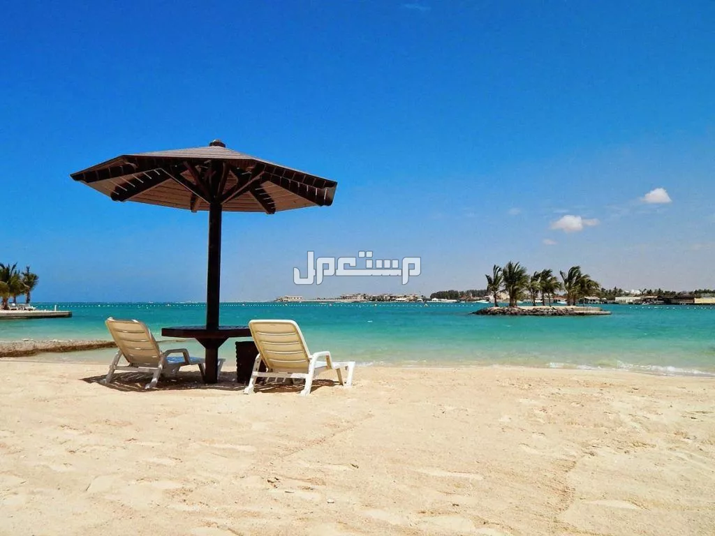 اكتشف أجمل 10 شواطئ في السعودية 1447 - 2025 شواطئ السعودية