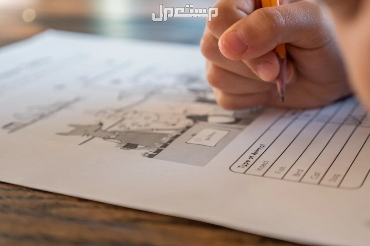 مواعيد اختبار القدرات 1447 ورابط التسجيل عبر قياس مواعيد اختبار القدرات 1447