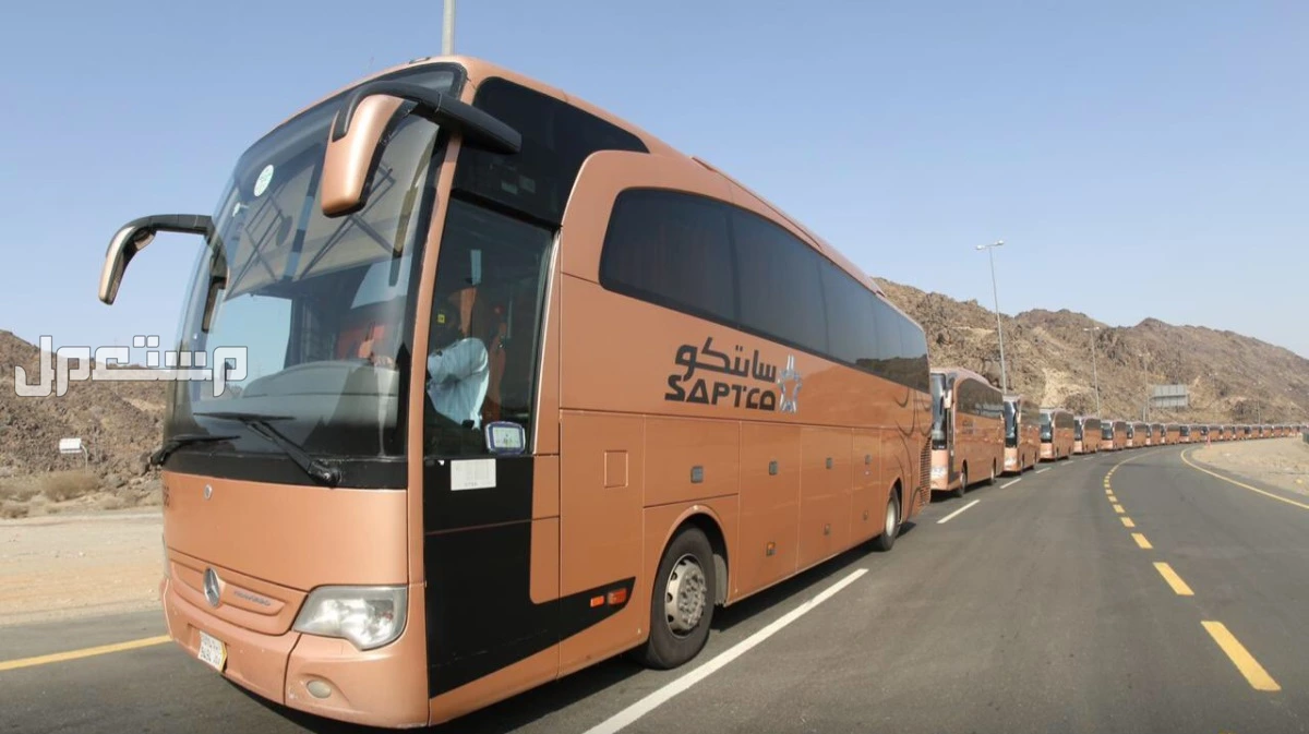 مواعيد رحلات النقل الجماعي وأسعارها من الرياض إلى مكة والمدينة وجدة جدول رحلات سابتكو