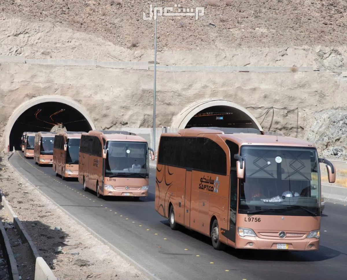 مواعيد رحلات النقل الجماعي وأسعارها من الرياض إلى مكة والمدينة وجدة مواعيد رحلات النقل الجماعي وأسعارها