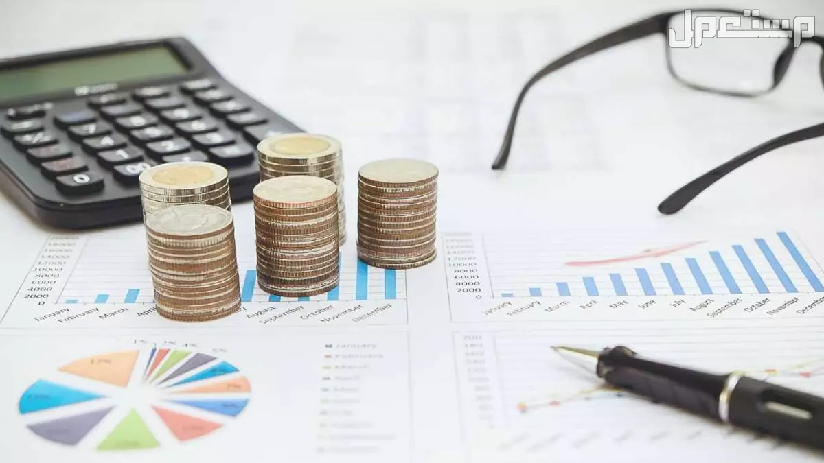 محاسب قانوني ومراجع ميزانية  في الرياض بسعر 9 آلاف ريال سعودي