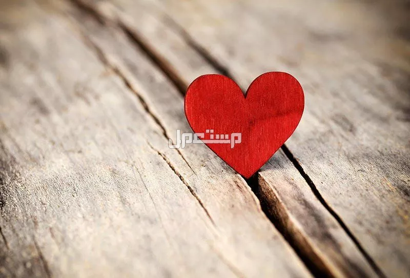 عبارات حب للزوجة بالإنجليزي مترجمة: 10 رسائل رومانسية للأزواج أجمل غزل للزوجة