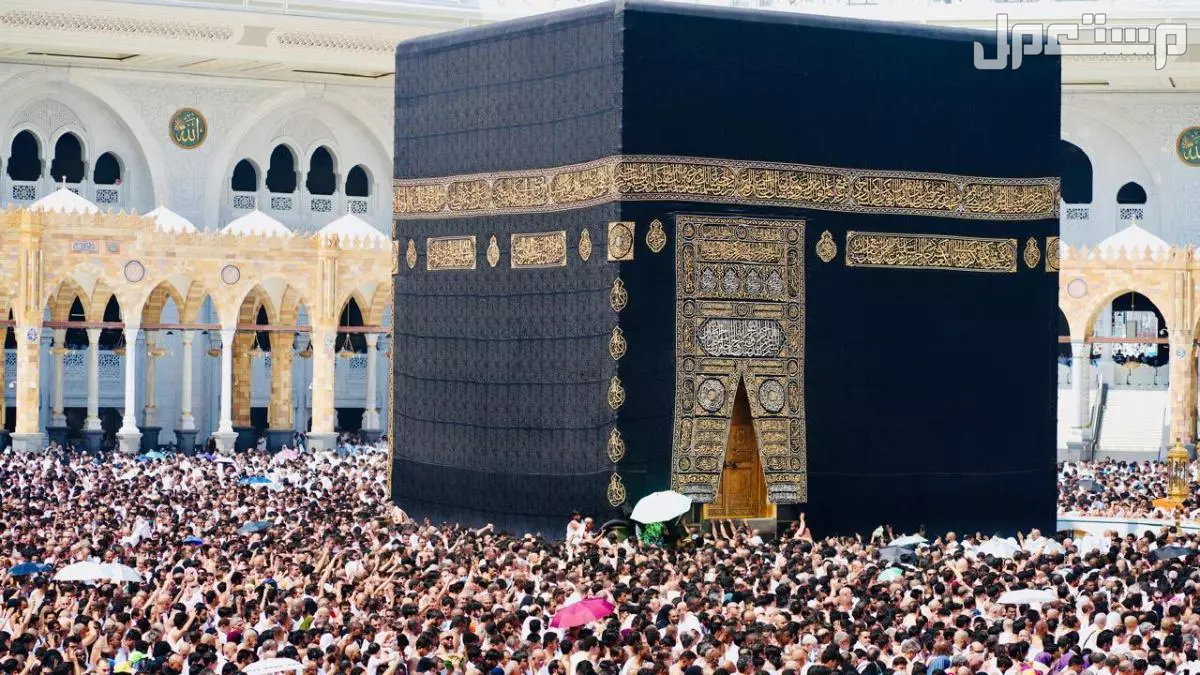 تفاصيل خطة موسم العمرة 1447.. خدمات غير مسبوقة تعرف عليها عمرة الخارج