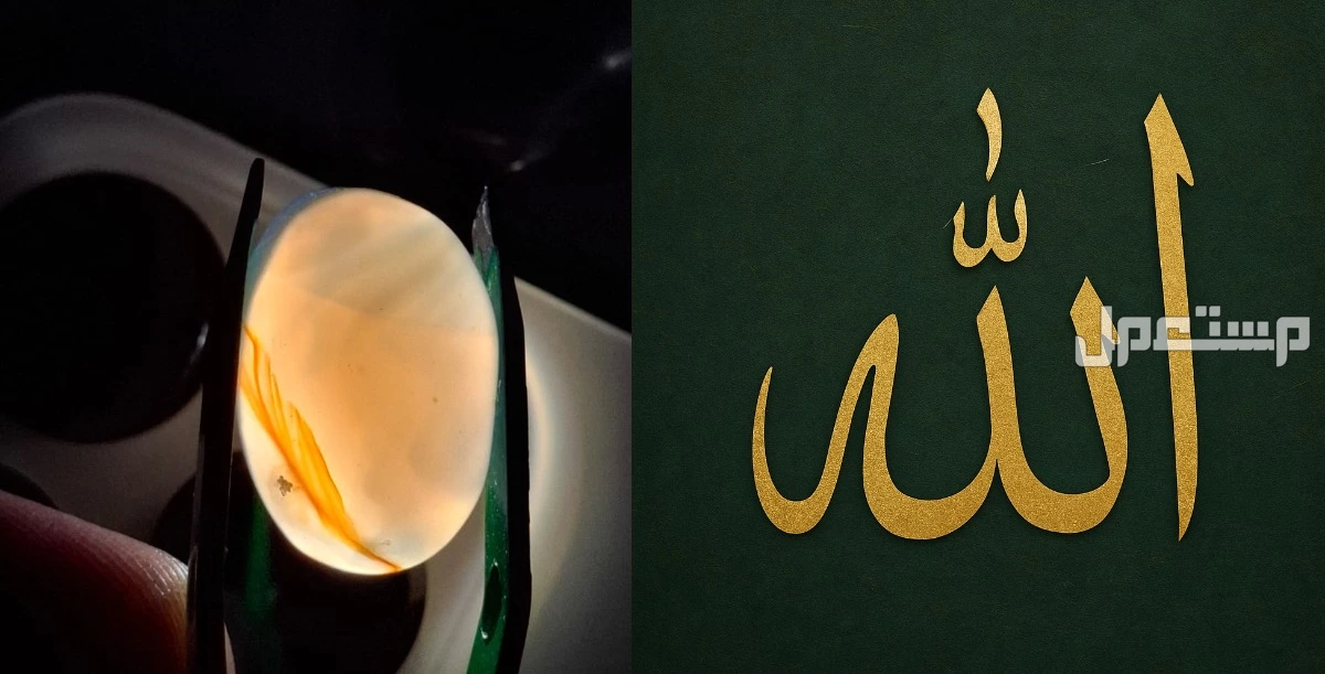 خمسة أحجار عقيق نادرة جدًا بتفاصيل مذهلة وفرصة لا تعوض