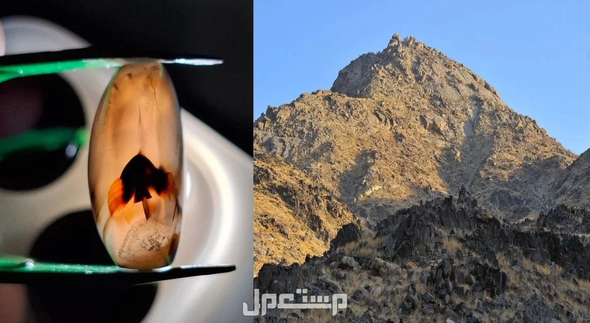 خمسة أحجار عقيق نادرة جدًا بتفاصيل مذهلة وفرصة لا تعوض