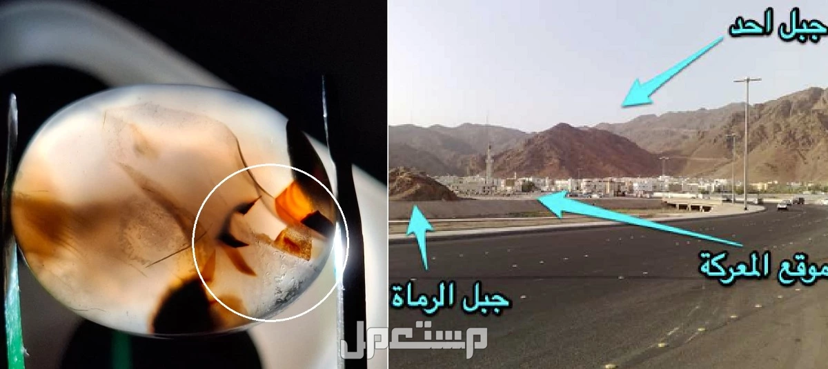 خمسة أحجار عقيق نادرة جدًا بتفاصيل مذهلة وفرصة لا تعوض