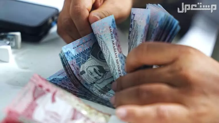 كيفية الاستعلام عن مستحقات التأمينات 1447 بخطوات سهلة وسريعة الاستعلام عن مستحقات التأمينات 1447