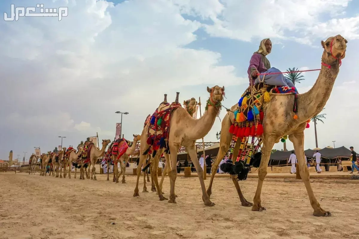 جميع فعاليات مهرجان صيف السعودية 2025.. تجربة صيفية لن تنسوها صيف السعودية 2025 لون صيفك