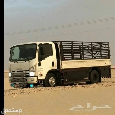 دينا طش الأثاث القديم بالرياض 0507019022 بأ حي الشفاء با الرياض