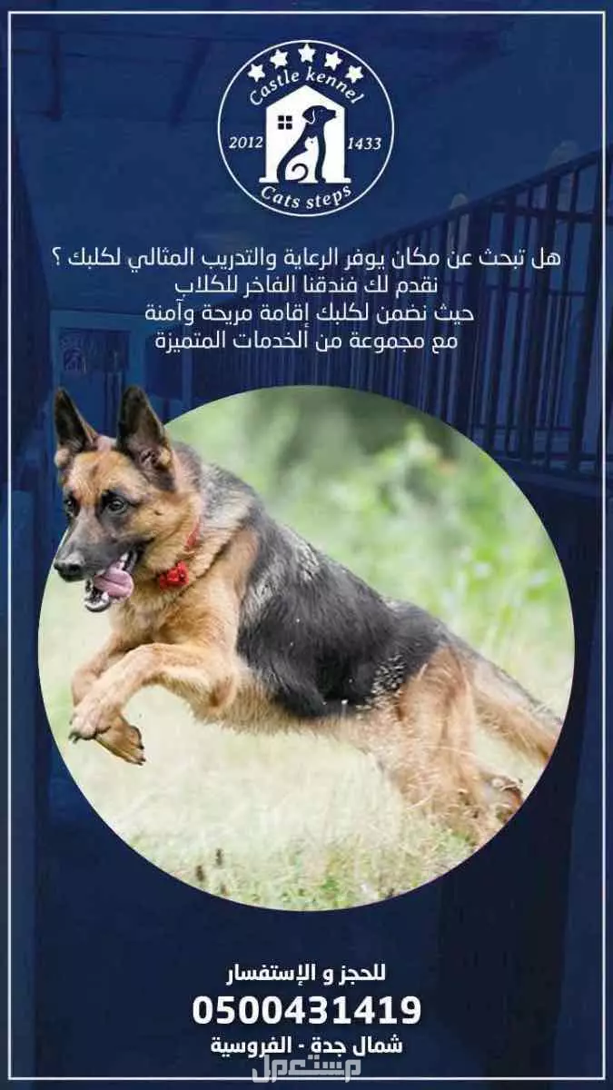 فندقة وتدريب كلاب بأفضل الاسعار