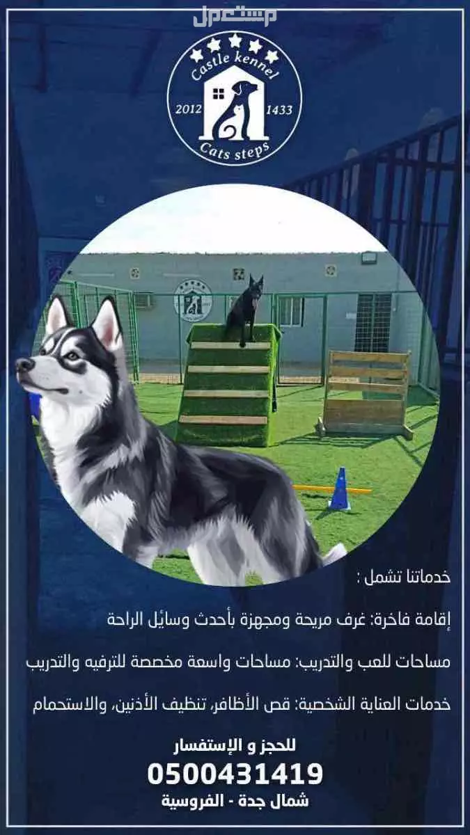 فندقة وتدريب كلاب بأفضل الاسعار
