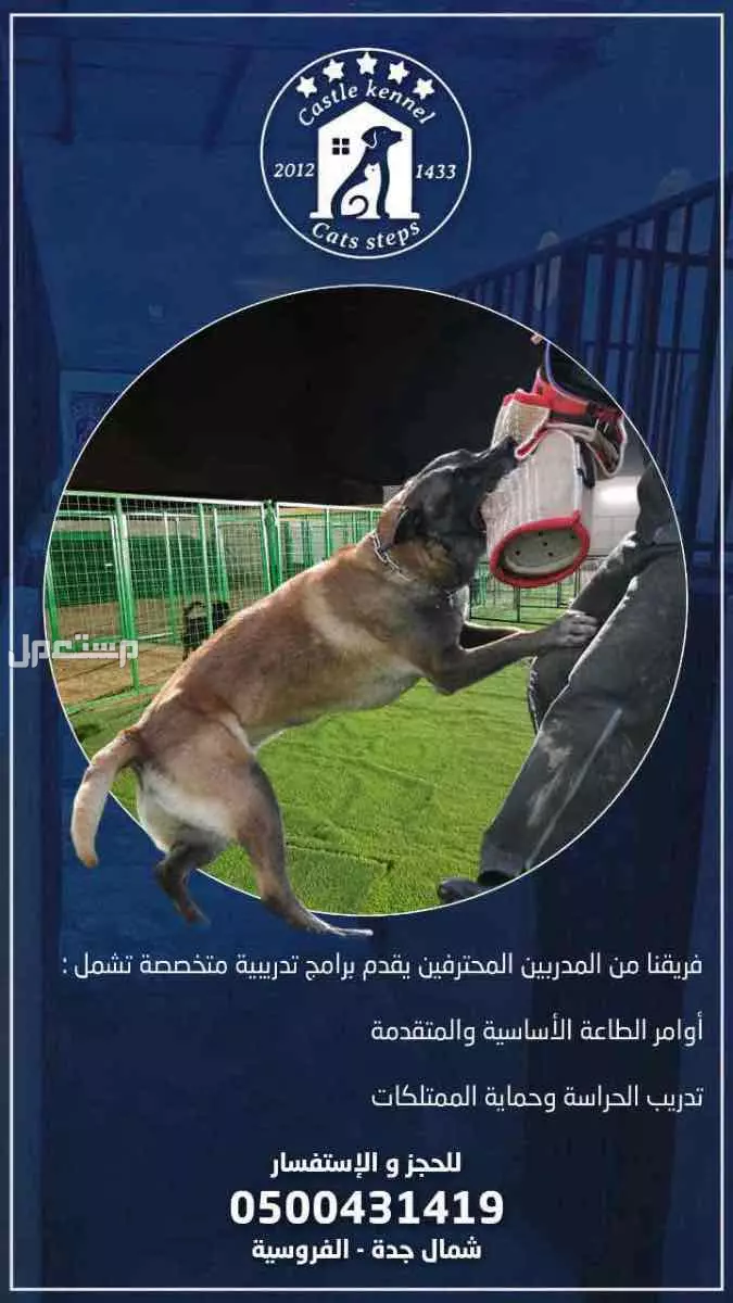 فندقة وتدريب كلاب بأفضل الاسعار