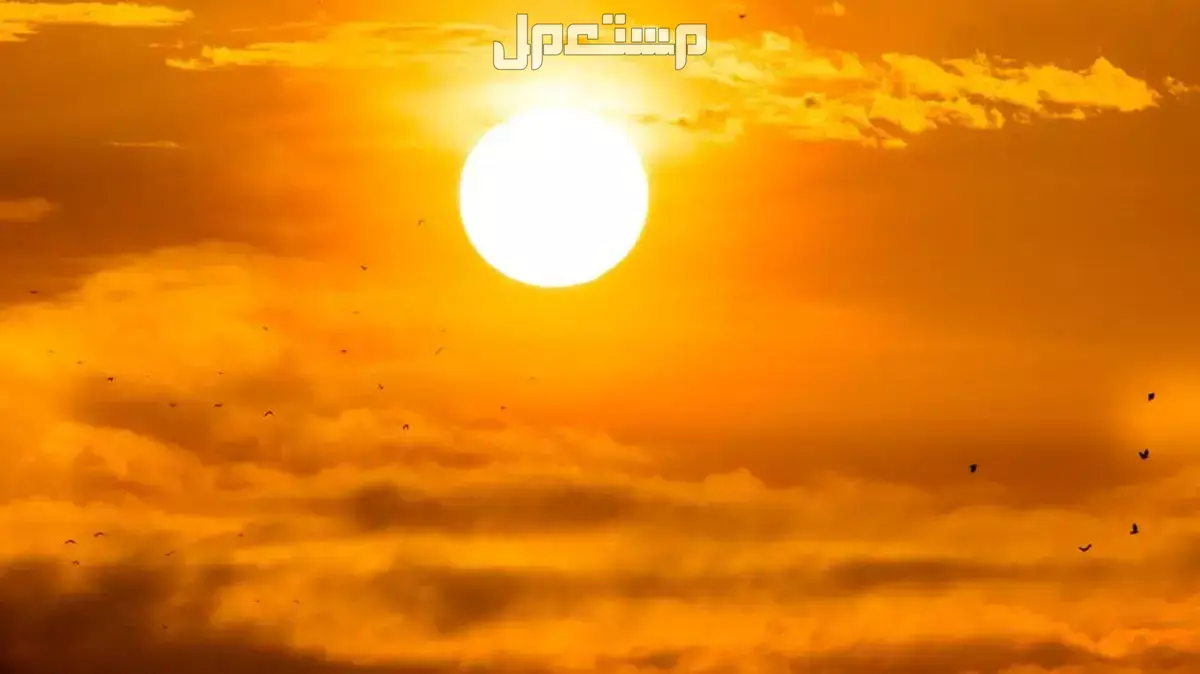 موسم الجوزاء 2025 في السعودية: طقس حار للغاية في هذه المناطق! موسم الجوزاء 2025 في السعودية