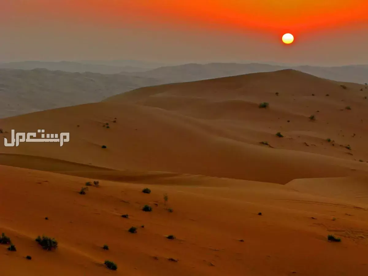 موسم الجوزاء 2025 في السعودية: طقس حار للغاية في هذه المناطق! الثمار التي تظهر في موسم الجوزاء 2025
