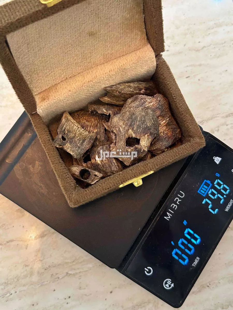 عود كينام صيني طبيعي مستزرع وصافي