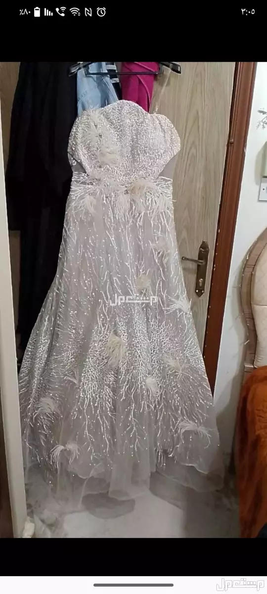 الرياض النسيم شارع ابي الاسود الدولي