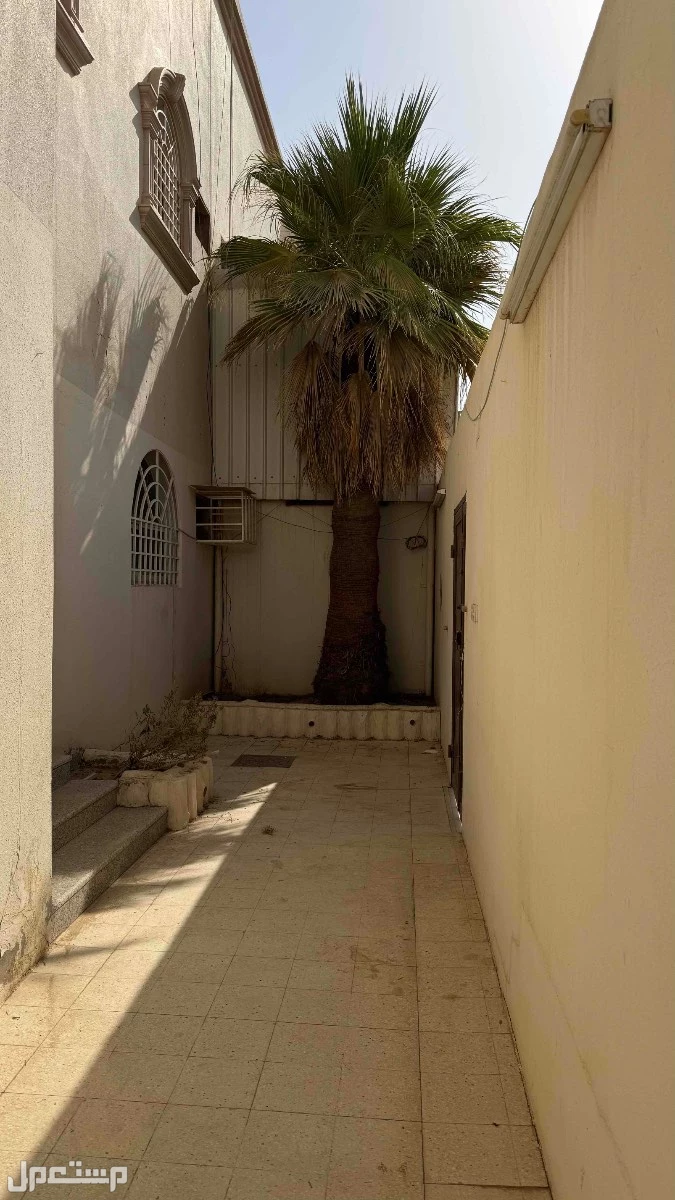 يوجد لدي عدد نخلتين نوع واشنطونيا كبيره طول كل منها حوالي 6 متر في الرياض حي النهضه