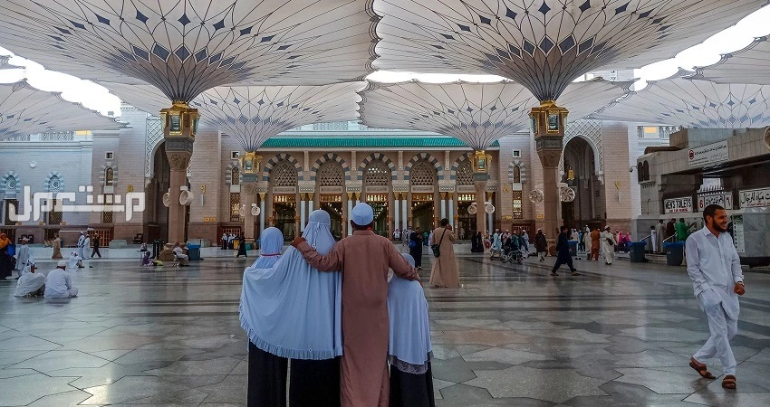أماكن سياحية للعوائل في المدينة المنورة.. دليل شامل أماكن عوائل في المدينة المنورة
