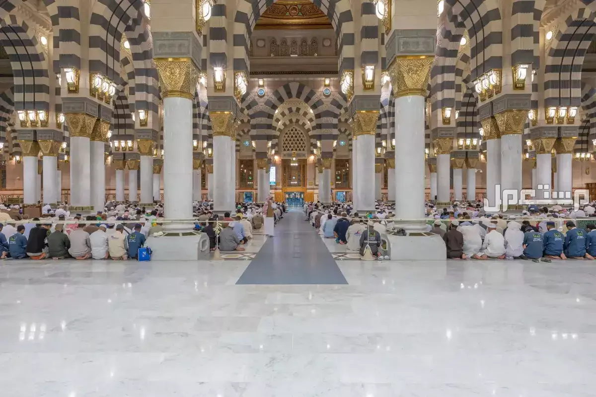 أماكن سياحية للعوائل في المدينة المنورة.. دليل شامل جدول زيارة المدينة المنورة