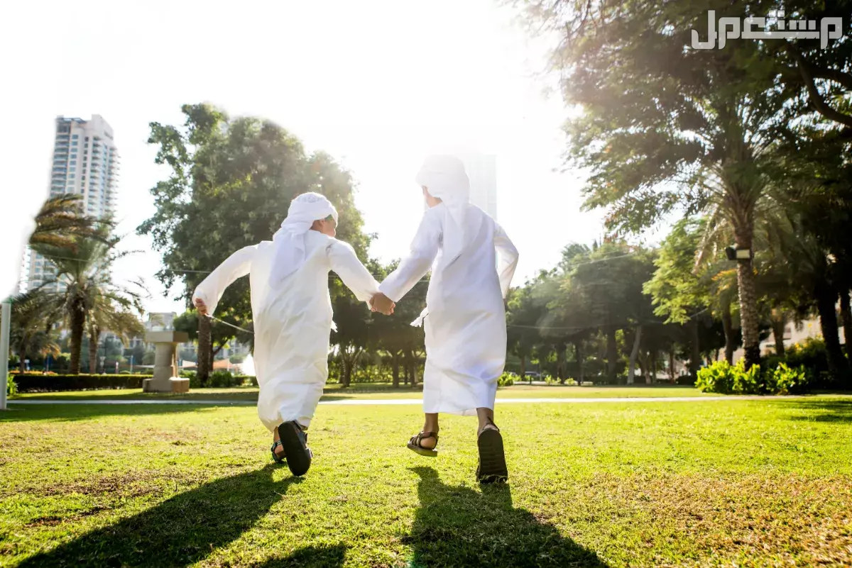 أماكن سياحية للعوائل في المدينة المنورة.. دليل شامل أماكن منتزهات المدينة المنورة