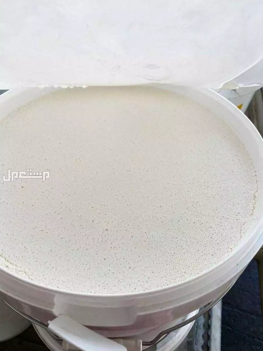 دولة غيرغيستان  / دولة الامارات