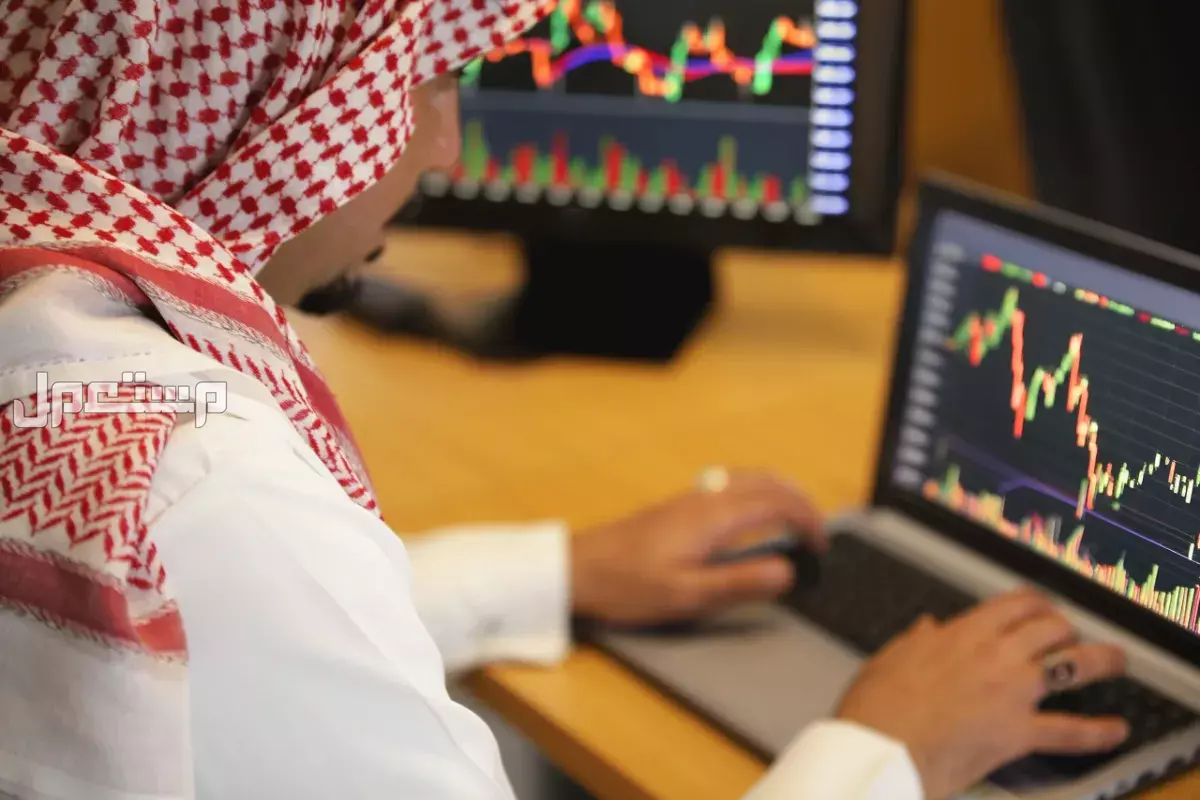أفضل التخصصات الجامعية المطلوبة في سوق العمل السعودي 2025 أفضل وظائف عن بُعد في السعودية 2025
