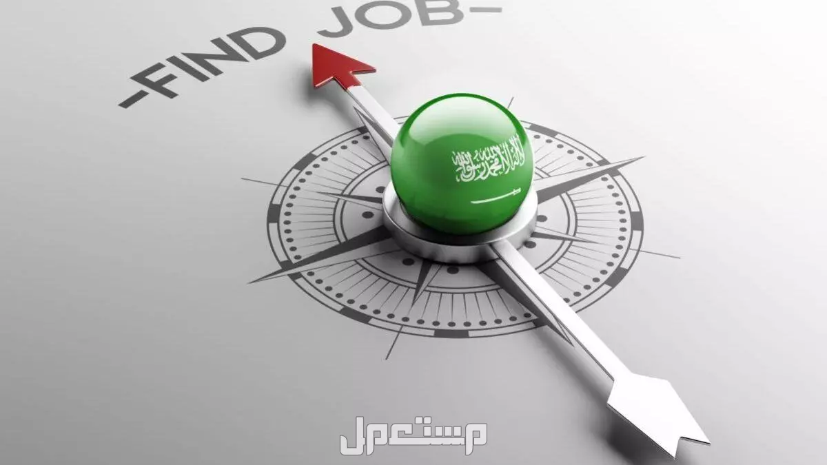 أفضل التخصصات الجامعية المطلوبة في سوق العمل السعودي 2025 كيف أجد فرصة عمل في السعودية؟